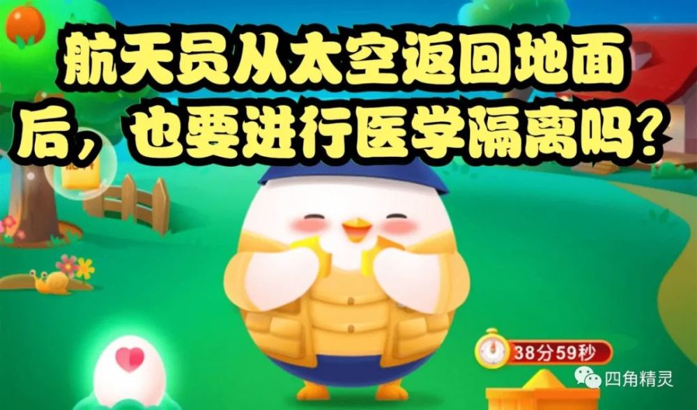 蚂蚁庄园今日答案最新,蚂蚁庄园今日答案最新揭秘，探索庄园奥秘，揭晓最新动态