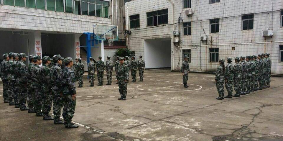 最新军事新闻,最新军事新闻，全球军事动态深度解析