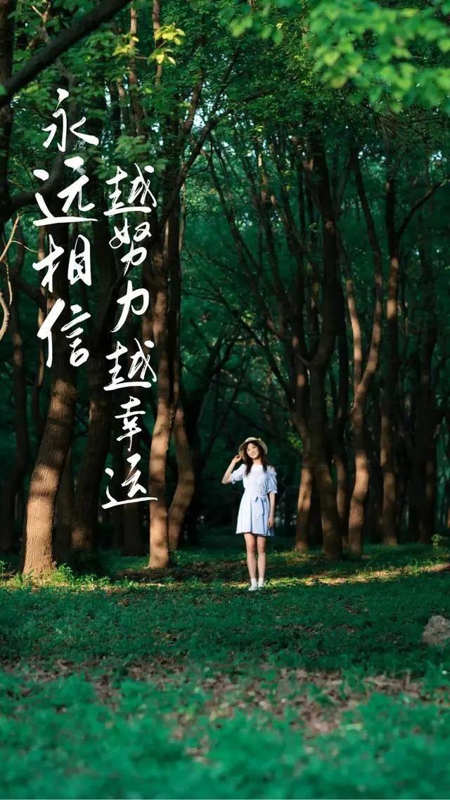 早安最新图片,早安最新图片，唤醒美好的一天