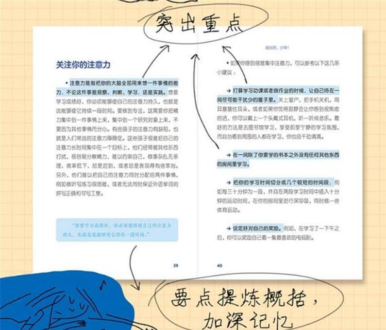 王中王三中三免费资料|性格释义解释落实,王中王三中三免费资料与性格释义，深入解读并落实
